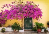 Ontdek Corfu vanuit Kommeno foto 8