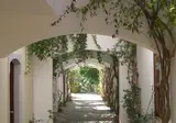 Okaliptus Otel foto 6