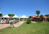 Park Delle Rose foto 5