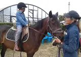 Etennemare foto 18