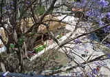 Serpina Hotel foto 19