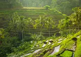 Rondreis Veelzijdig Java & Bali foto 20