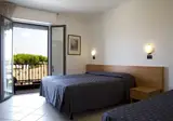 Fortunella foto 29