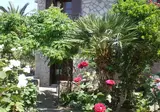 Appartementen Islands foto 8