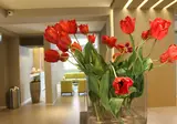 Airone City Hotel foto 9