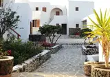 Adamastos foto 12