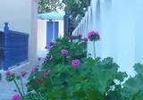 Dilino Hotel foto 6