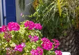 Naxos Holidays Hotel foto 14
