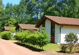 Vakantiepark Grafschaft Bentheim foto 3