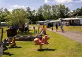 Camping Tempelkrogen foto 5