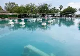 Miarosa Kemer Beach foto 15
