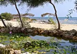 Thalassines Beach Villas foto 22