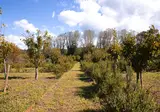 Camping Collection Rivages Rives D Arc foto 10