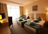Azalia Hotel Balneo & Spa foto 18