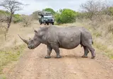 Pragtig Suid-Afrika foto 7