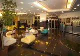 Kleopatra Royal Palm foto 12