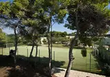 Giardino dei Pini foto 12