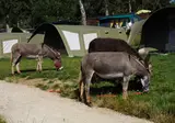 Knaus Campingpark Lackenhäuser foto 7