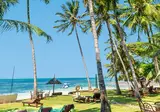Serena Beach Resort & Spa foto 10