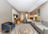 Sidera Kirman Premium foto 17