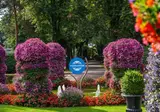 TopParken Landgoed de Scheleberg foto 28