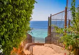 Dive Inn foto 5