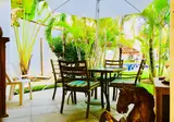 Dolce Vita Caribe B&B foto 28