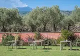 Villa Neri Etna Resort & SPA foto 7