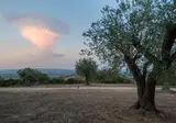 Masseria Della Volpe foto 13