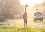 A Wildlife Adventure in South Africa foto 1