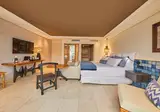 Hyatt Ziva Jardin Tropical Tenerife foto 14