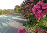 Villa Teti foto 19