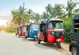 Rondreis Compleet Sri Lanka foto 10