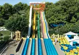 A Good Life Utopia Family foto 7