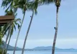 Mai Samui Beach Resort & Spa foto 21