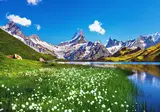 De mooiste Alpentoppen van Zwitserland, Meiringen foto 1