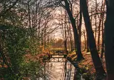 Herberg Het Rechthuis foto 22