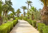 Djerba Castille foto 22