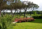 Principe del Trasimeno foto 8
