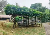 Caravelle Camping Village foto 17