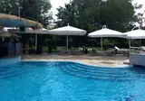 Flamingo foto 18