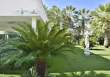 Ariston foto 9