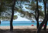 Lime Playa de Alcudia foto 6