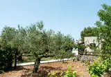 Boschetto Villas foto 17