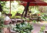Mangili Garden Hotel foto 8