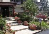 Orso Bianco foto 6