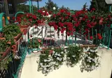 Hotel Zora foto 15