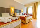 Viking Garden Hotel & Spa foto 29