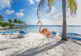 9 dg cruise Caribische Zee Celebrity Beyond foto 1