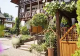Daslenz foto 14